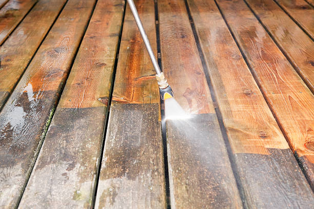 Animal Enclosure Cleaning in Bottineau, ND